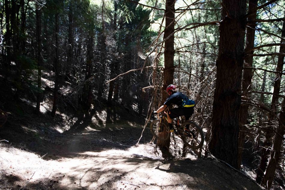 chris riding in the woods by garberville