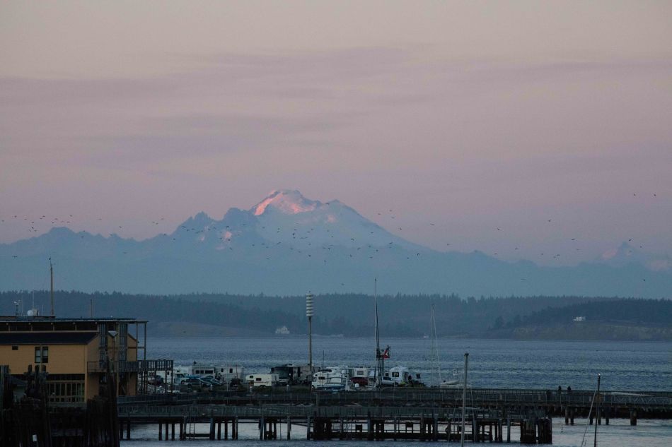 rainier from port townsend
