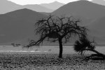 namibia , naankuse