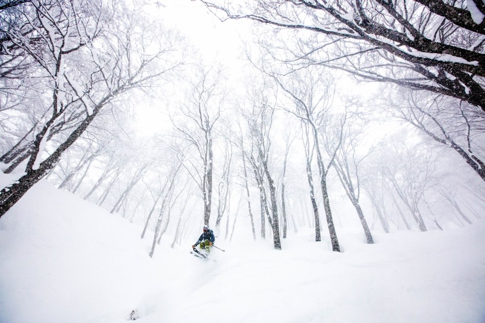 ben briggs, hakuba, japan, ally watson