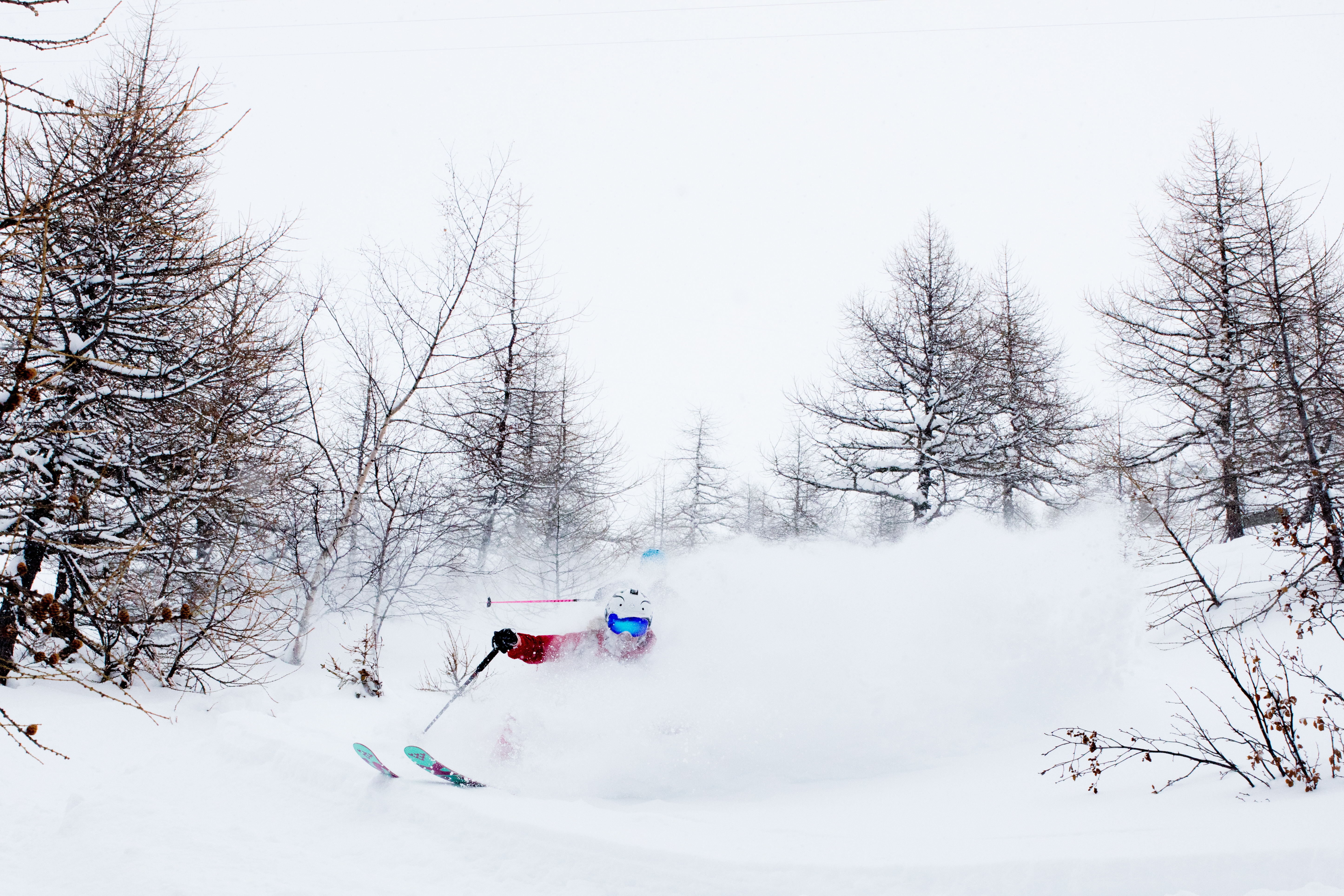 johanna smilla stalnacke, michelle blaydon