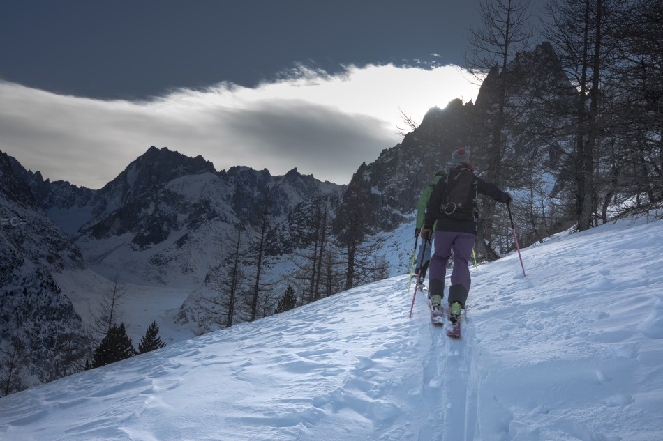 michelle braydon, Ross hewitt