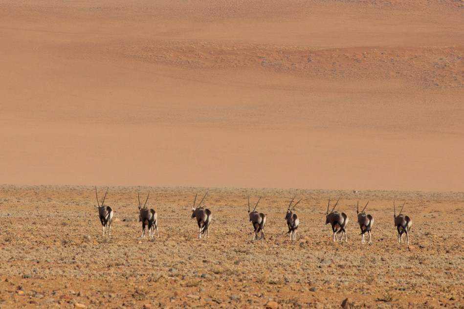 namibia