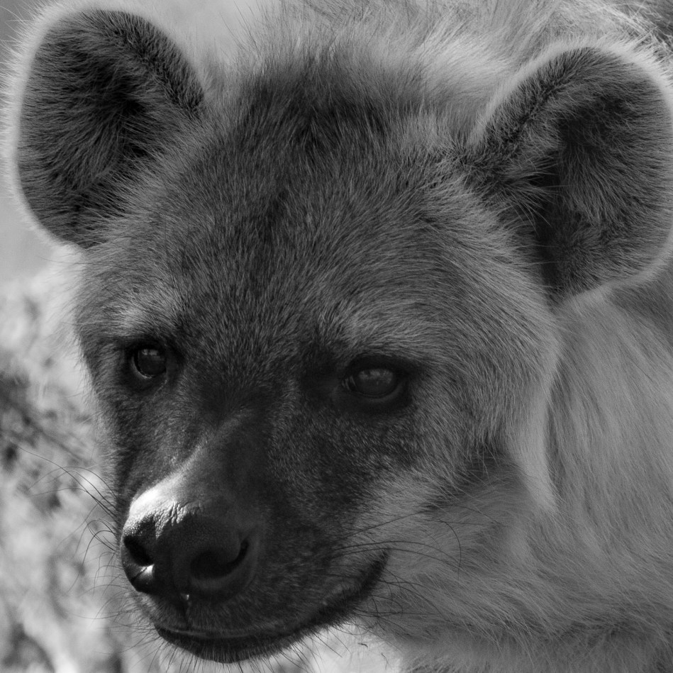 pretoria, south africa