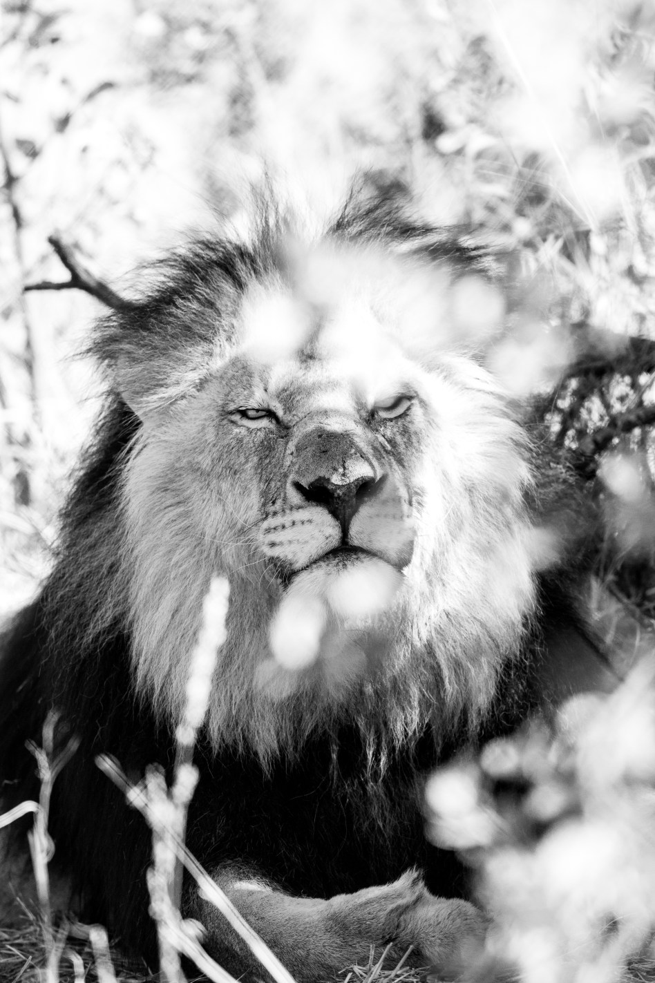 pretoria, south africa